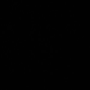 Meet your Posher, Miguel